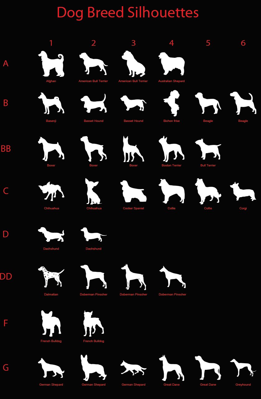 Afghan, American Bull Terrier, Australian Shepard, Basenji,Basset Hound,bichon frise,Beagle,Boxer,Boston Terrier,Bull Terrier, Chihuahua,Cocker Spaniel,Collie,Corgi, Dachshund,Dalmatian,Doberman Pinscher, French Bulldog, German Shepard, Great Dane,Greyhound