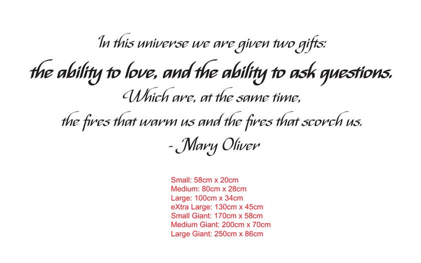 In this universe we are given two gifts: the ability to love, and the ability to ask questions. Which are, at the same time, the fires that warm us and the fires that scorch us. - Mary Oliver - Vinyl Decal Sticker