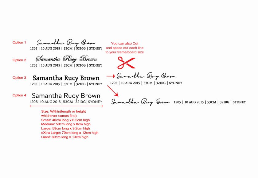 DIY Birth Stat Vinyl Decal Baby Shower Gift