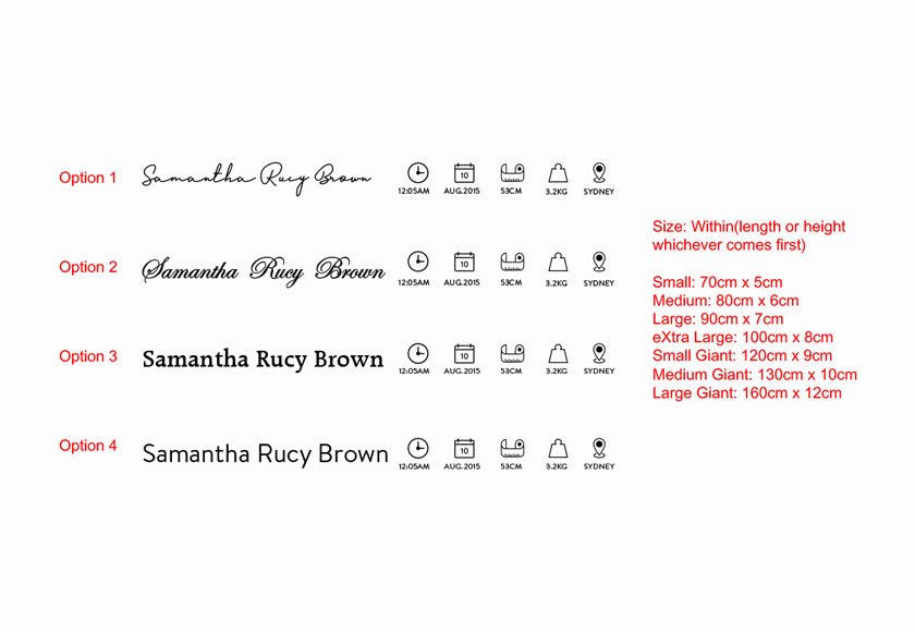 Add-on for a ruler decal.<br /> Birth Stat Vinyl Decal Baby Shower Gift