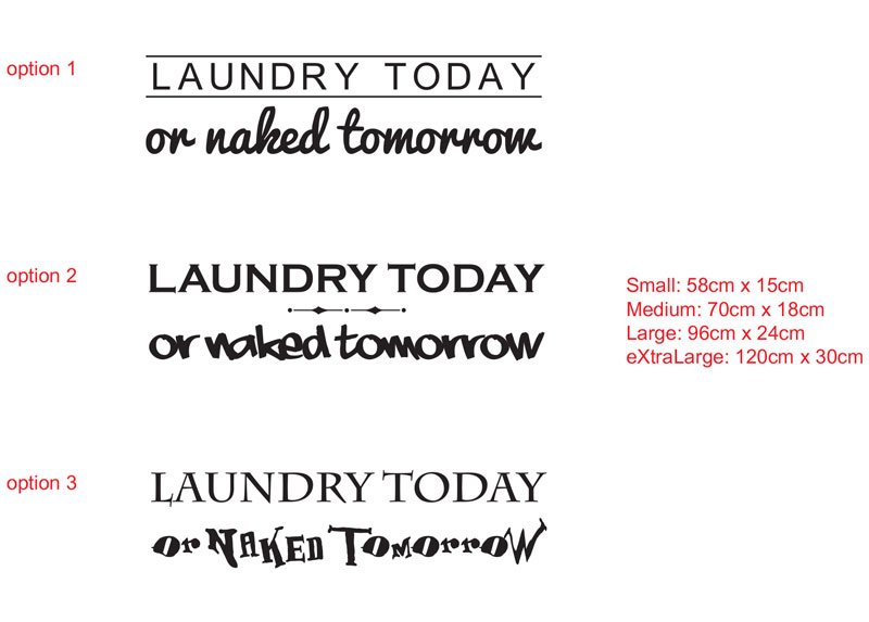 LAUNDRY TODAY or naked tomorrow vinyl decal sticker